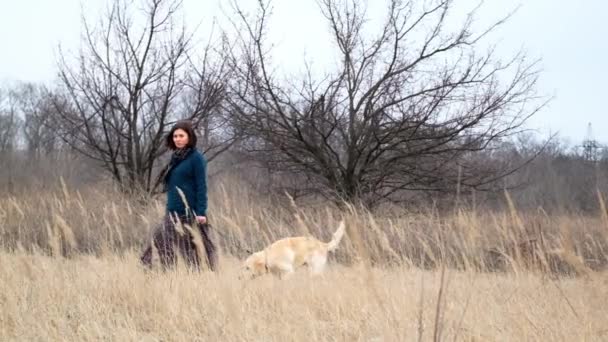 早春的时候 漂亮的女人带着可爱的狗散步 — 图库视频影像