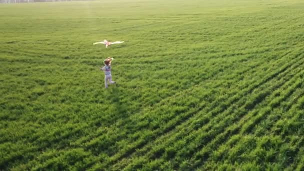 Gadis Kecil Yang Lucu Terbang Layang Layang Berwarna Warni Musim — Stok Video