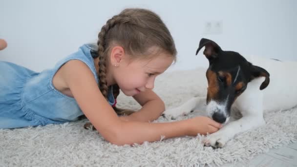 Kid Girl Karmiąc Psa Fox Terrier Ręki Leżącej Podłodze Świetlicy — Wideo stockowe