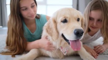 Küçük kızlar köpekle oynuyorlar yerde, Golden Retriever cinsi