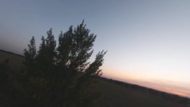 Gün batımında ağaçların ve tarlaların yanında uçan Fpv insansız hava aracını ilk gören kişi
