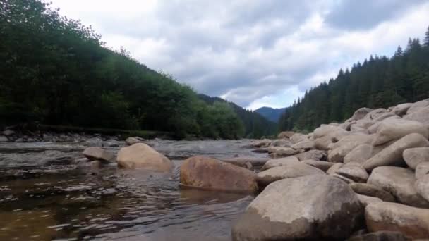 Bela Paisagem Com Rio Montanha Floresta Pedras Primeiro Plano — Vídeo de Stock
