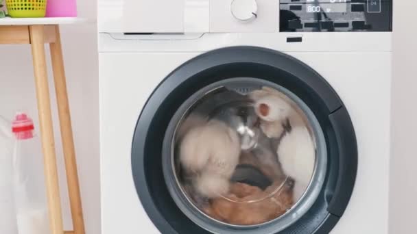 Pluche Speelgoed Rollen Binnen Wasmachine Tijdens Wasserij — Stockvideo