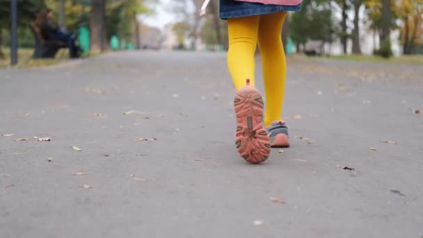 Widok Tyłu Nogi Dziewczynki Jasnych Rajstopach Spaceru Wzdłuż Alejki Jesiennym — Wideo stockowe