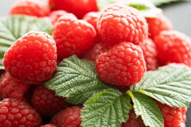 Yapraklı taze kırmızı ahududu.