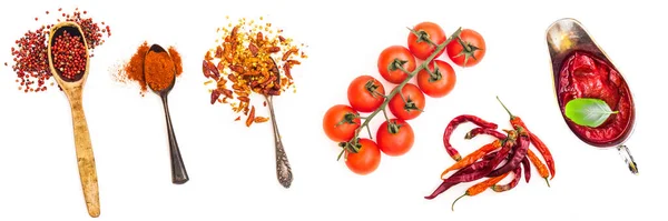 Set Van Specerijen Retro Lepels Saus Tomaten Geïsoleerd Een Witte — Stockfoto
