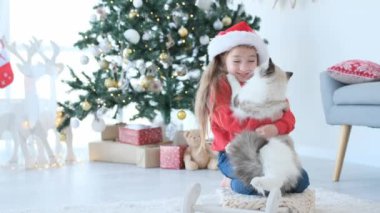 Güzel bir kız çocuğu kediye sarılıyor ve Noel zamanı evde gülümsüyor. Noel Baba şapkalı güzel bir çocuk ve kedi yavrusu. Yeni yılda ağaç süslemeli bir odada.