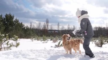 Kız kış ormanlarında karda Golden Retriever köpeğiyle oynuyor. Safkan evcil hayvanı olan genç bir kadın dışarıda eğleniyor.