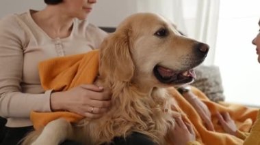 Anne ve küçük kız Golden Retriever köpeğini okşuyor ve onu sarı battaniyeyle örtüyor. Güzel bir genç kız ve saf köpek evcil hayvanı ve evde ekose kumaşı olan genç bir kadın.