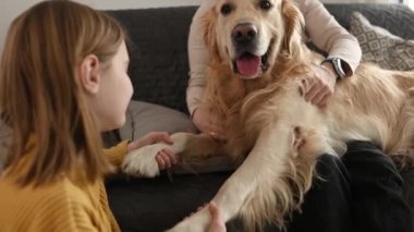 Anne ve kız evdeki kanepede oturan golden retriever köpek patileriyle oynuyorlar. Güzel genç bir çocuk ve genç bir kadın evde safkan köpek besliyor.