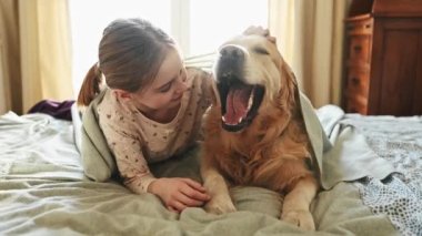 Tatlı kız Golden Retriever köpeğine sarılıyor. Sabahları battaniyenin altında yatıyor. Safkan evcil köpek labrador 'u olan genç ve güzel bir çocuk.