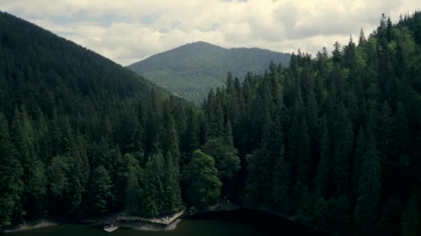 Paysage Des Carpates Avec Lac Synevir Vue Depuis Drone — Video