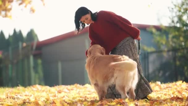 Hübsches Mädchen Das Mit Golden Retriever Hund Und Leine Herbstpark — Stockvideo