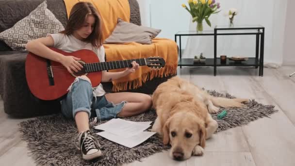 美しい若い女の子ティーネージャーは家でギターを保持し 黄金のレトリバー犬ペットをペット 楽器演奏中の女性の人間と純血犬は リビングルームでレッスンをプレイ — ストック動画