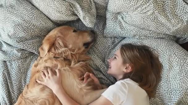 可爱的小女孩抱着金发碧眼的猎犬躺在床上和宠物狗说话 从上面看 可爱的青少年爱抚纯种的狗拉布拉多犬在家里休息 — 图库视频影像