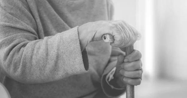 Siyah Beyaz Baston Tutan Yaşlı Kadının Elleri — Stok fotoğraf