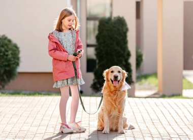 Golden Retriever köpekli bir kız güneşli bir günde dışarı çıkıyor. Dişi çocuk ve evcil köpek labrador sokakta dantelli.