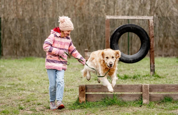 ウォーキングやトレーニングエリアでゴールデンレトリバー犬を持つ女の子 犬が壁を飛び越える — ストック写真