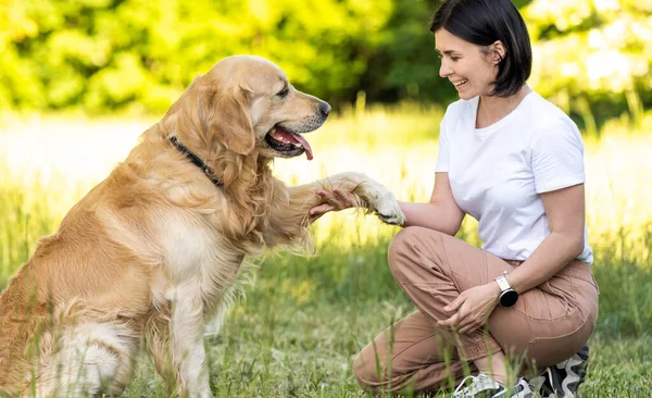 Girl Training Golden Retriever Dog Outdoors — Stock fotografie