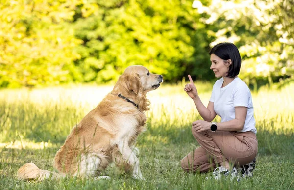 Mädchen Spielt Mit Golden Retriever Hund Freien — Stockfoto