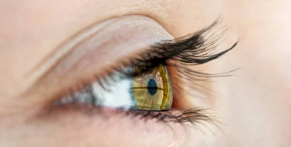 Girl Eye Brown Iris Eyelashes Mascara Closeup Person Vision Mesical — Stock Photo, Image
