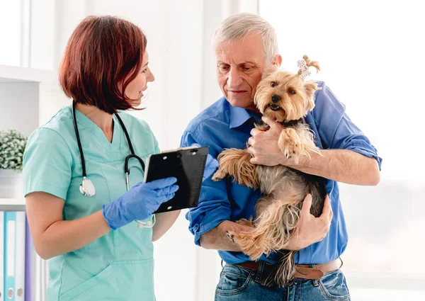 獣医学クリニックのヨークシャーテリア犬の所有者に処方を与える医師 — ストック写真