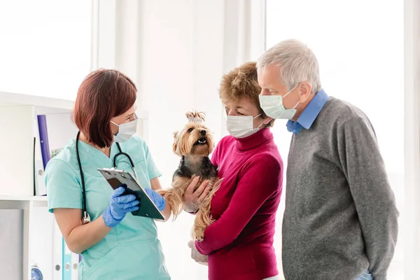 Veterinario Explicar Yorkshire Terrier Diagnóstico Par Propietarios Máscaras Protectoras Durante — Foto de Stock