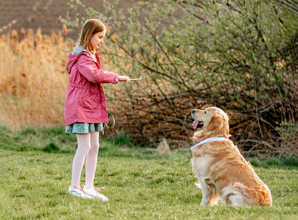 Mädchen Mit Golden Retriever Hund Spielt Draußen Spring Park Hübsches — Stockfoto