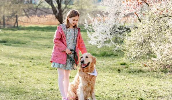 Girl with golden retriever dog walking outdoors in spring park with blossom trees. Pretty female child kid with pet doggy labrador at nature in sunny day