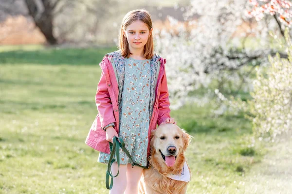 Chica Con Perro Golden Retriever Paseando Aire Libre Parque Primavera —  Fotos de Stock