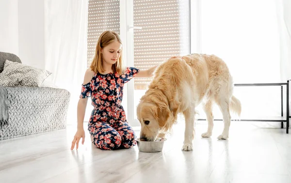 Golden retriever dog eating food with pretty girl at home