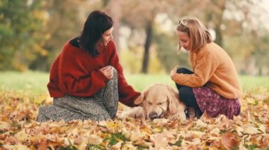 Anne ve kızı sonbahar parkında eğleniyor ve altın renkli köpekleri okşuyor. Mutlu aile dışarıda köpeklerle oynuyor..