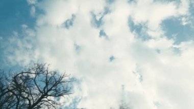 Ağaçların arasından bulutlarla kaplı mavi gökyüzü sürüş arabasının manzarası