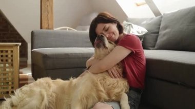 Golden Retriever köpeğini seven güzel bir kız evde yerde oturuyor. Güzel genç kadın ve safkan evcil köpek çatı katında birlikte.
