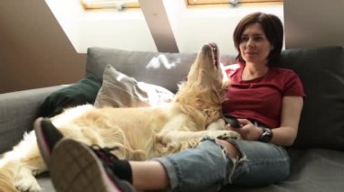 Golden Retriever köpeği olan güzel bir kız evde televizyon izliyor. Safkan evcil köpekleri olan genç bir kadın uzaktan kumandalı köpekçik kanalı kullanıyor.