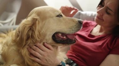 Güzel bir kız Golden Retriever köpeğini evde yakından okşuyor. Güzel genç kadın ve safkan evcil köpek çatı katında birlikte.
