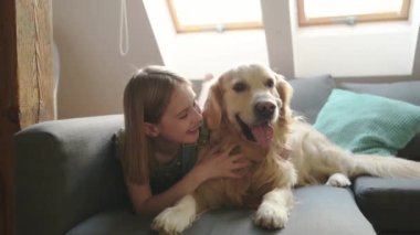 Evdeki kanepede uzanmış Golden Retriever köpeğine sarılan ve gülümseyen kız çocuğu. Sevimli çocuk, çatı katında safkan evcil köpek besliyor.