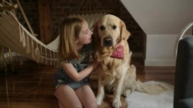 Golden Retriever köpekli bir kız çocuğu evde hamağı ile birlikte oturuyor. Sevimli çocuk, çatı katında safkan köpeğe sarılıyor.
