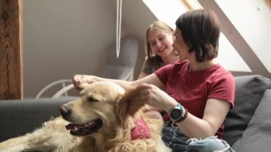 Genç bir kadın ve genç bir kız Golden Retriever köpeğini okşuyor ve evde gülümsüyor. Anne ve kızı, çatı katında safkan bir köpekle oynuyorlar.