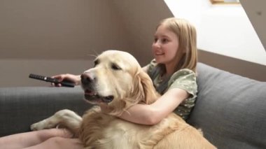 Golden Retriever köpeğiyle evde televizyon izleyen küçük bir kız çocuğu. Tv kumandalı, safkan evcil köpek kanalı olan güzel bir çocuk.