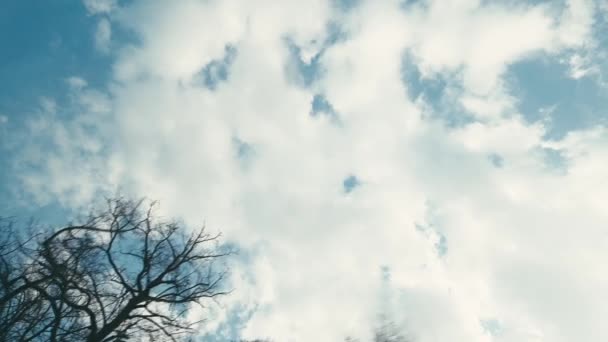 Blauwe Lucht Met Wolken Door Bomen Bodem Uitzicht Vanaf Rijdende — Stockvideo