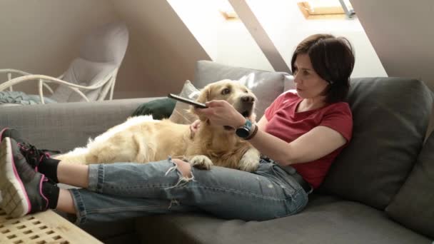 Linda Chica Con Perro Golden Retriever Viendo Televisión Casa Mujer — Vídeos de Stock