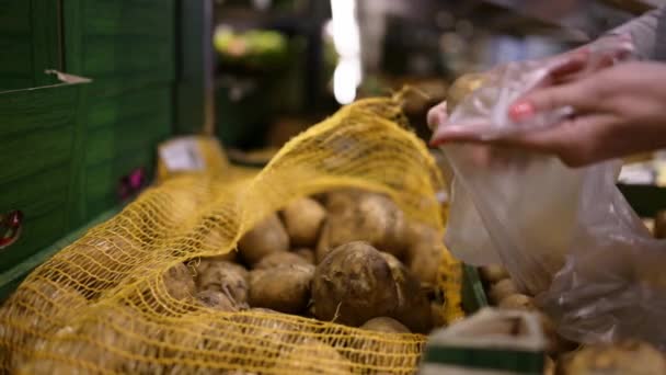 Femeie Tânără Care Alege Cartof Proaspăt Piața Legume — Videoclip de stoc