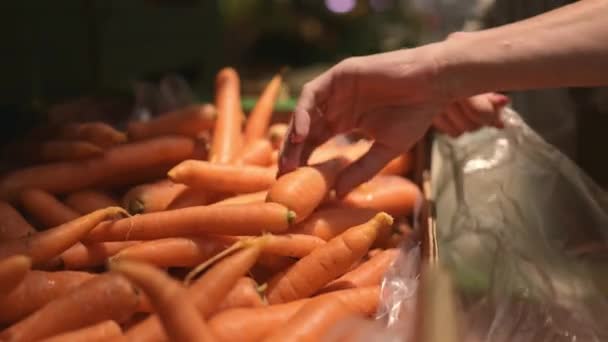 女孩在蔬菜市场上挑新鲜的胡萝卜 — 图库视频影像