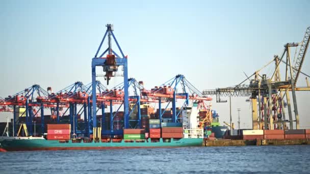 Tijdsronden Van Industriële Zeehavenlaadcontainers Schip Met Kraan — Stockvideo