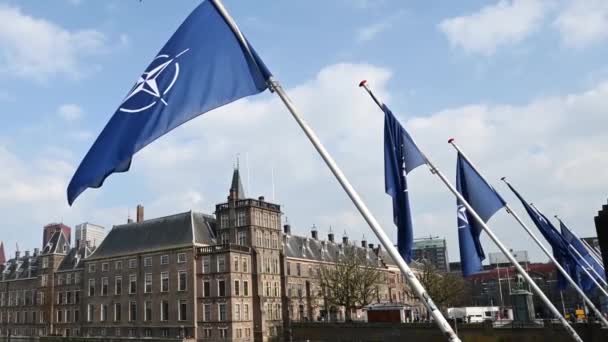 在荷兰海牙市中心 北约的旗帜在旗杆上飘扬 — 图库视频影像