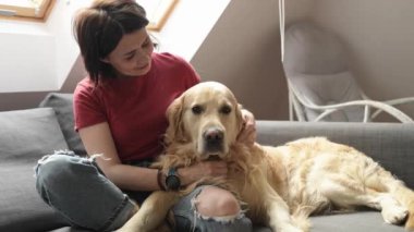 Golden retriever köpeği olan güzel bir kız kanepede oturuyor ve köpeğini okşuyor. Safkan evcil labrador 'u olan genç bir kadın çatı katında.