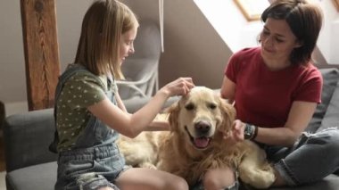 Güzel kız ve prematüre çocuk aile kanepeye oturmuş Golden Retriever köpeği besliyor. Safkan evcil köpeği olan anne ve kızı gülümsüyor.