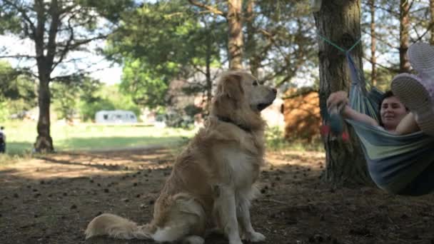 Дівчина Відпочиває Гамаку Грає Чарівною Молодою Золотошукачем Собакою Лісі — стокове відео