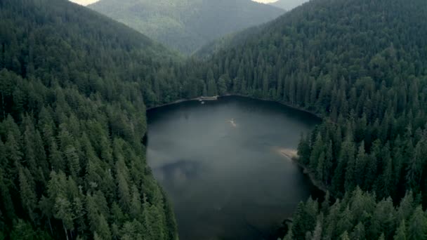 Panoramic View Synevir Lake Carpathian Mountains Aerial View — Stock Video